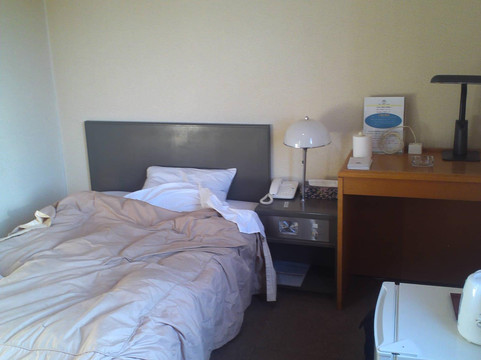 新白宫酒店主图