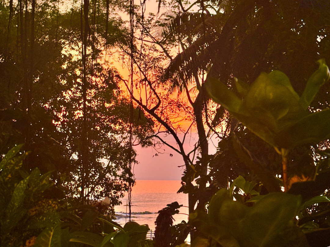 Wil Tours-Savegre必去景点