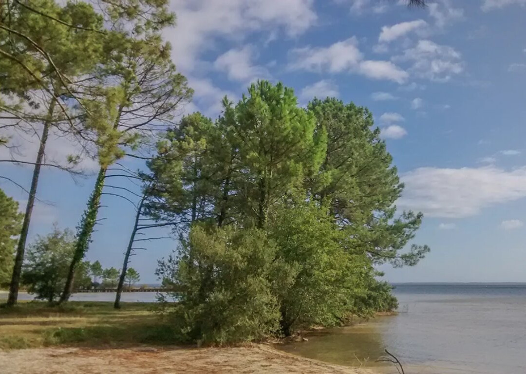 Camping du Lac de Cazaux
