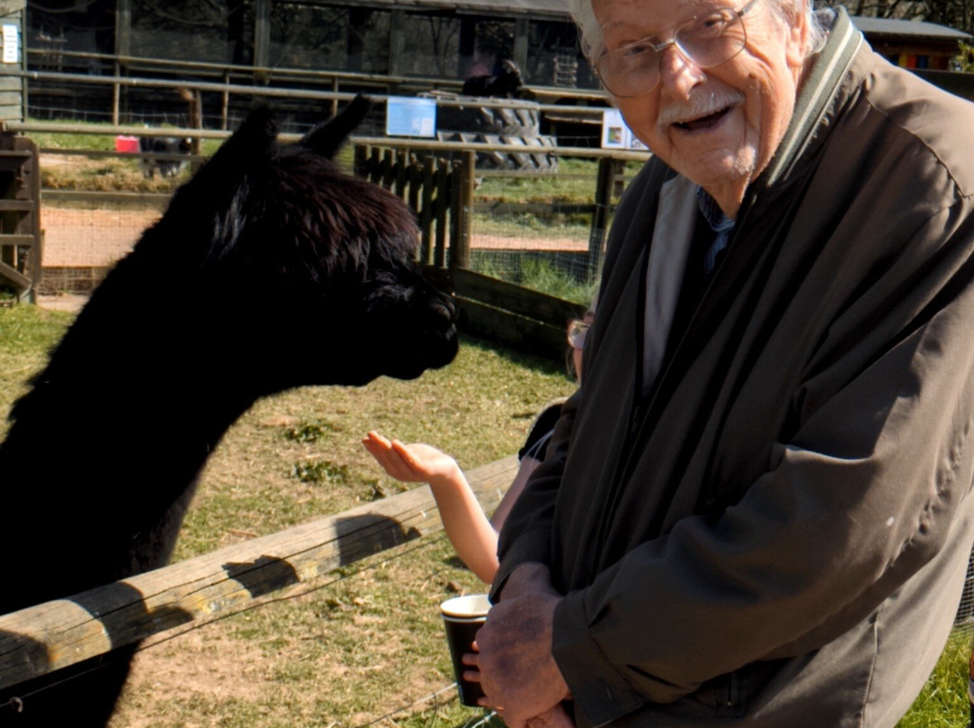 Totnes Rare Breeds Farm-托特尼斯必去景点