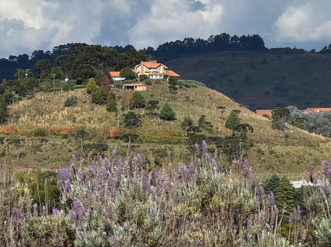 Vinhedos do Monte Agudo景点图片