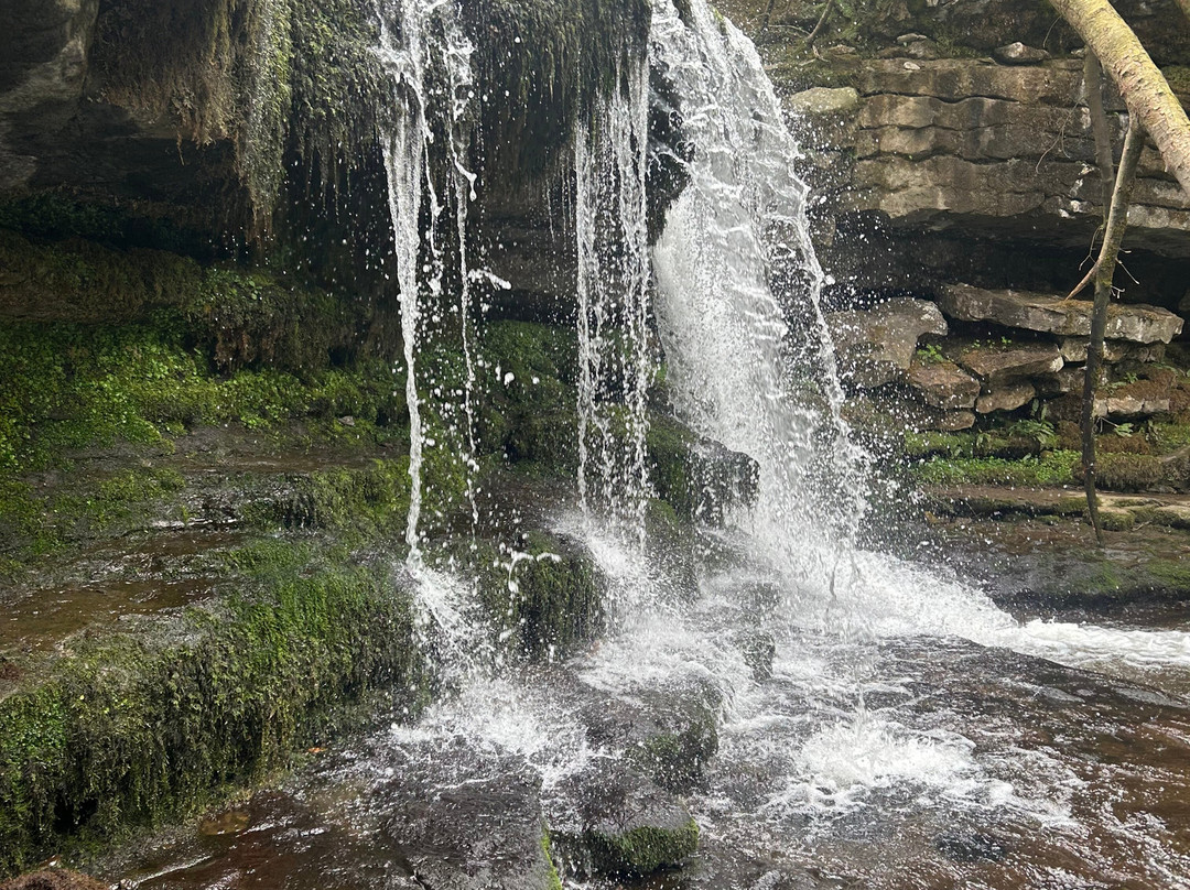 West Burton Falls景点图片