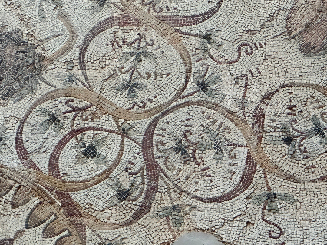 Roman Ruins of Djemila景点图片