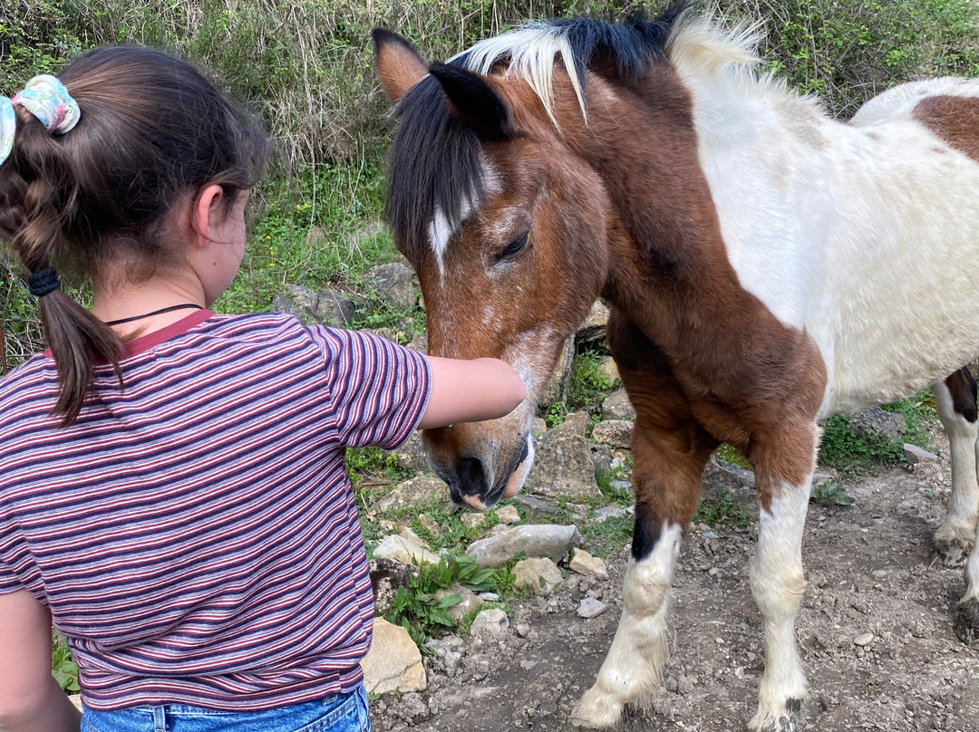 Casa Rural Tomaso主图