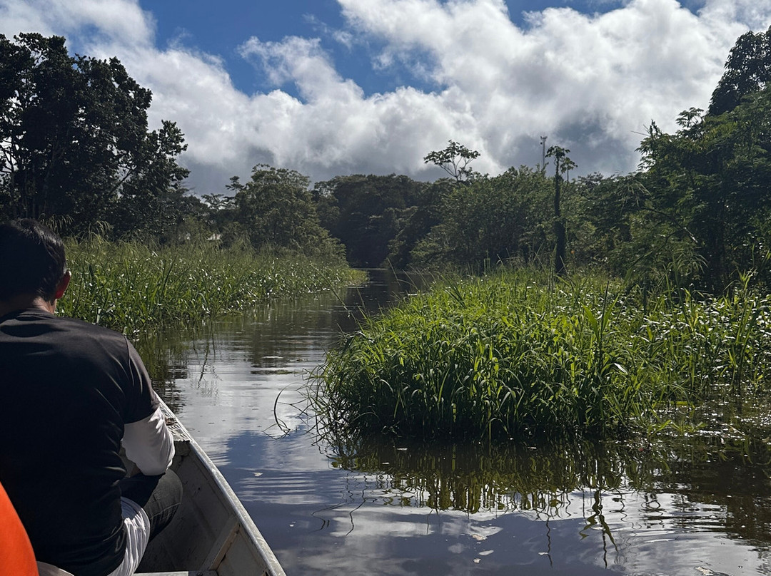 Amazon Maguta Jungle Lodge景点图片