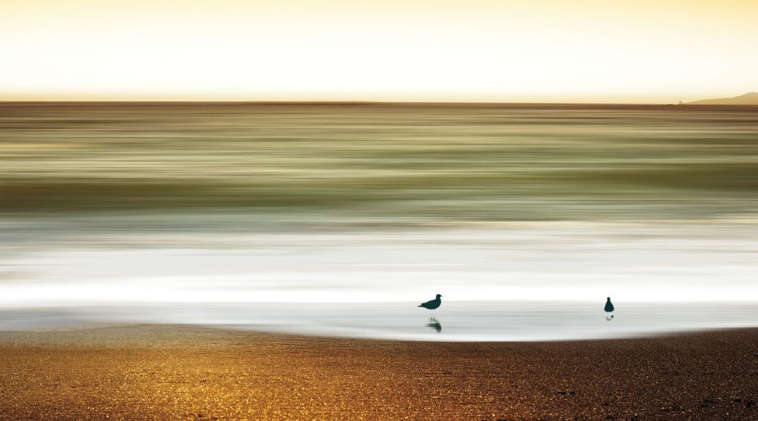 Blue Seas Gallery-温哥华必去景点