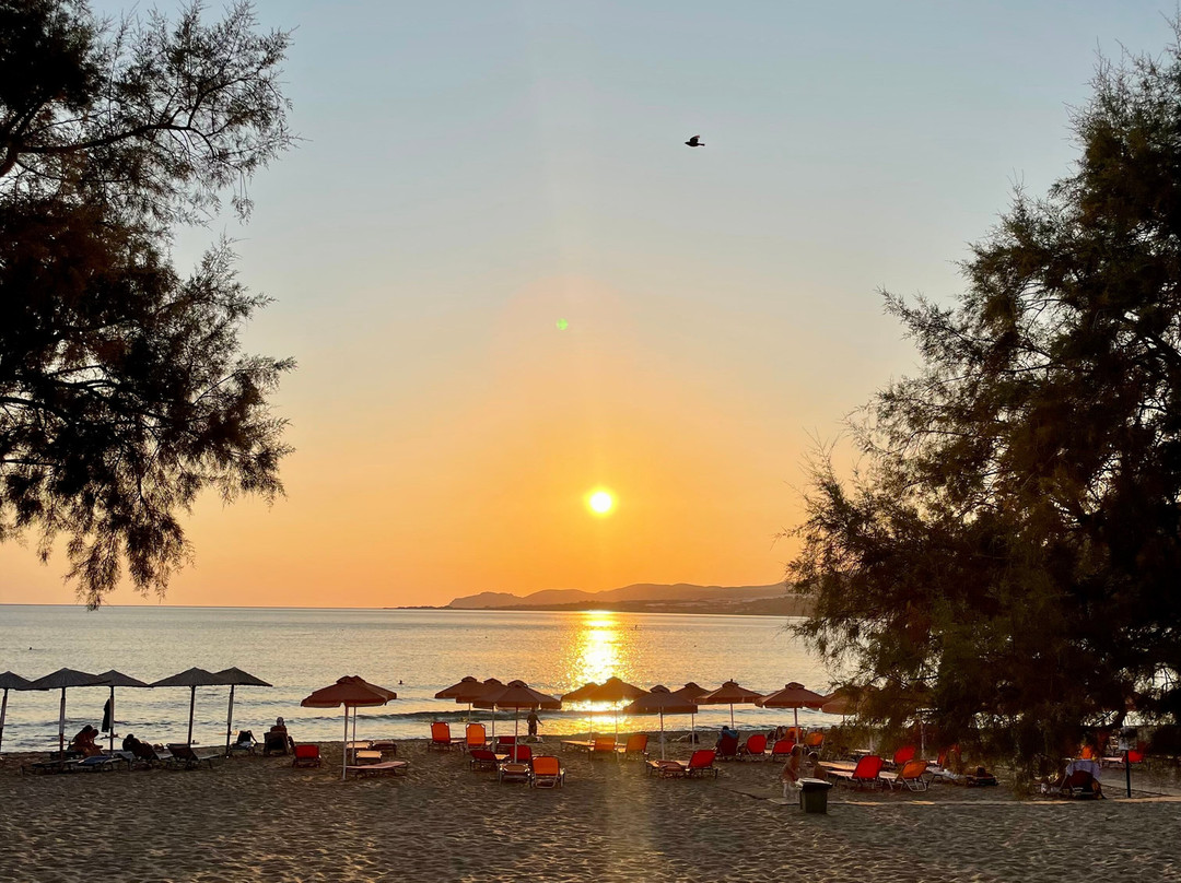 Hotel Pal Beach主图