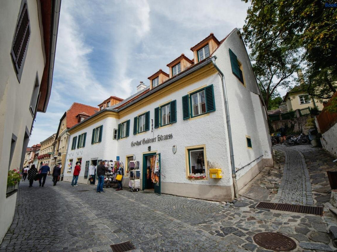 Smile Apartments Zum Goldenen Strauss