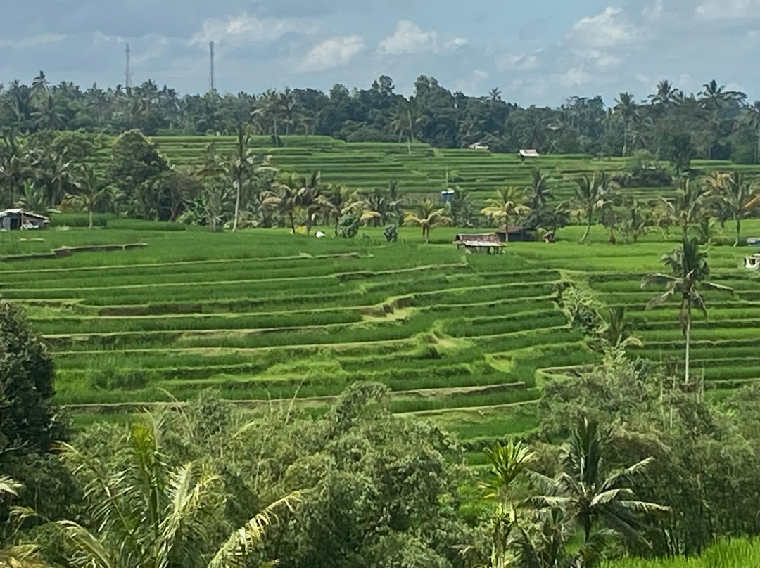 Bali Walking Hiking Adventure - Day Tours景点图片