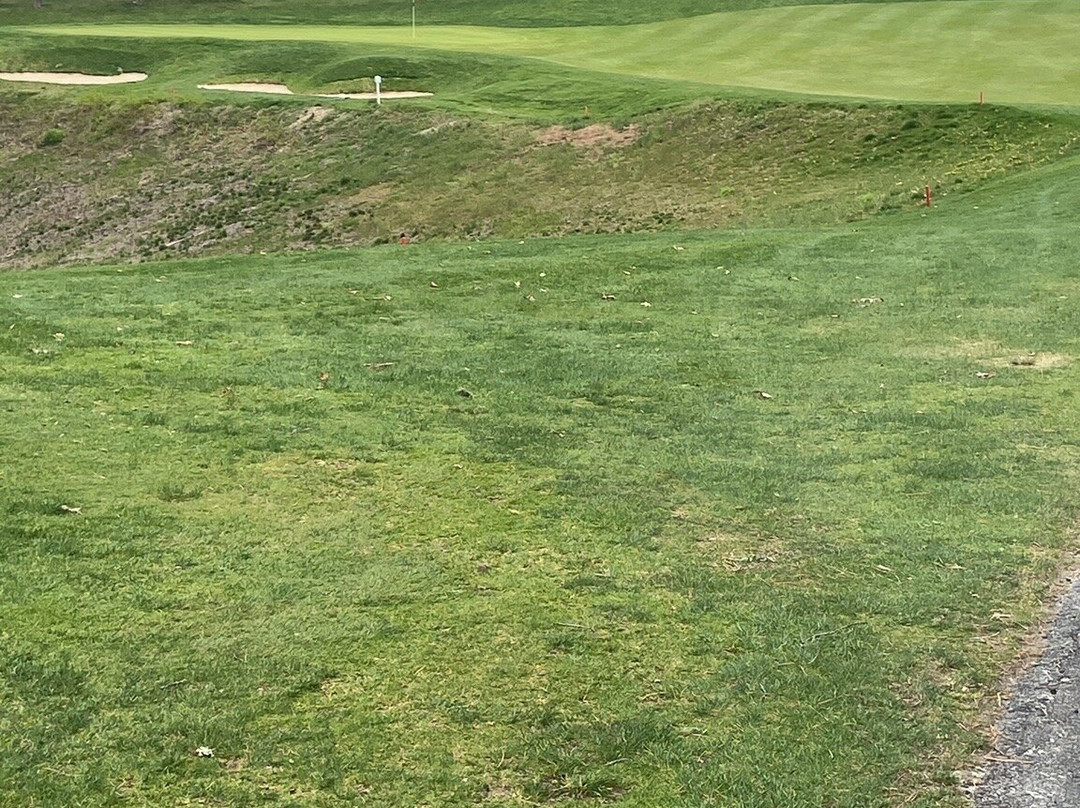 The Captains Golf Course-Brewster必去景点