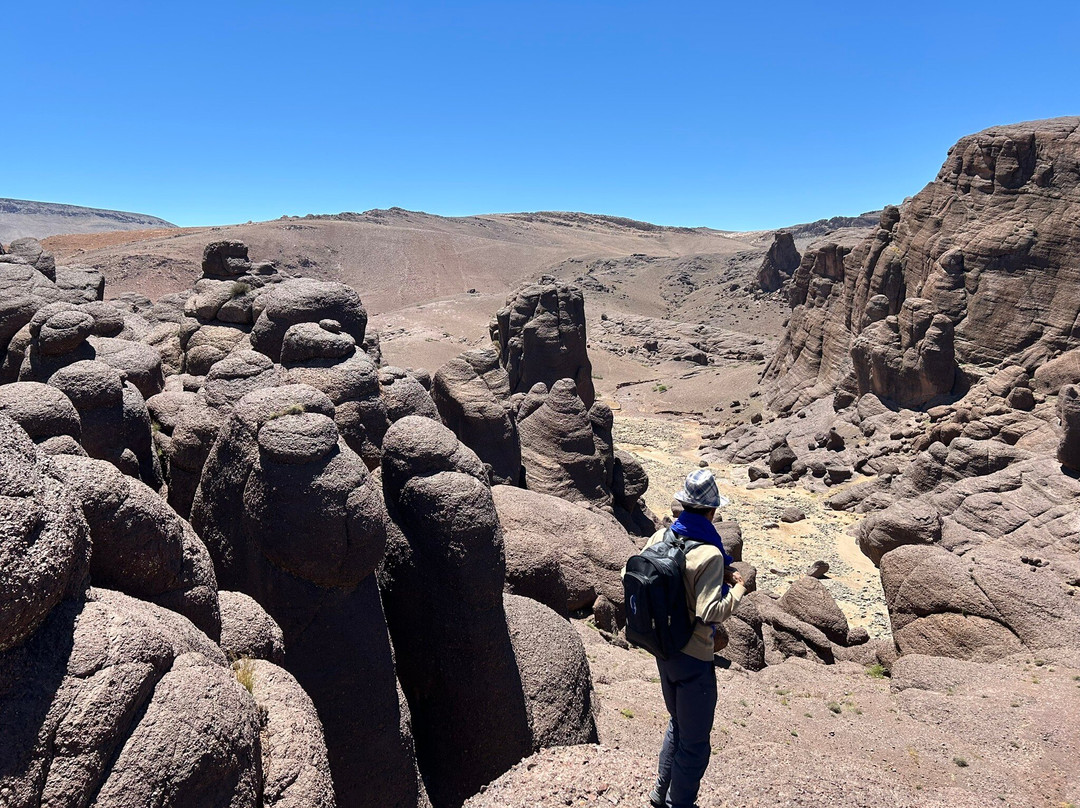 Escale Rando Taliouine - chambres d'hotes主图