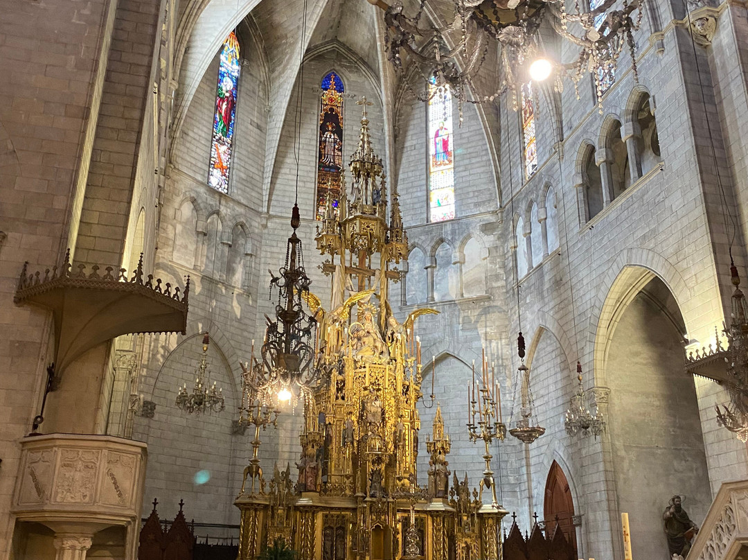 Mercado De Manacor-马纳科尔必去景点