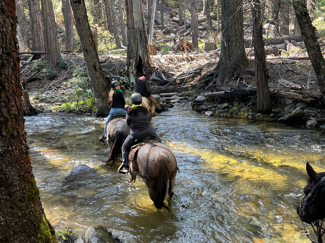 Yosemite Trails Horseback Adventures-菲什营必去景点