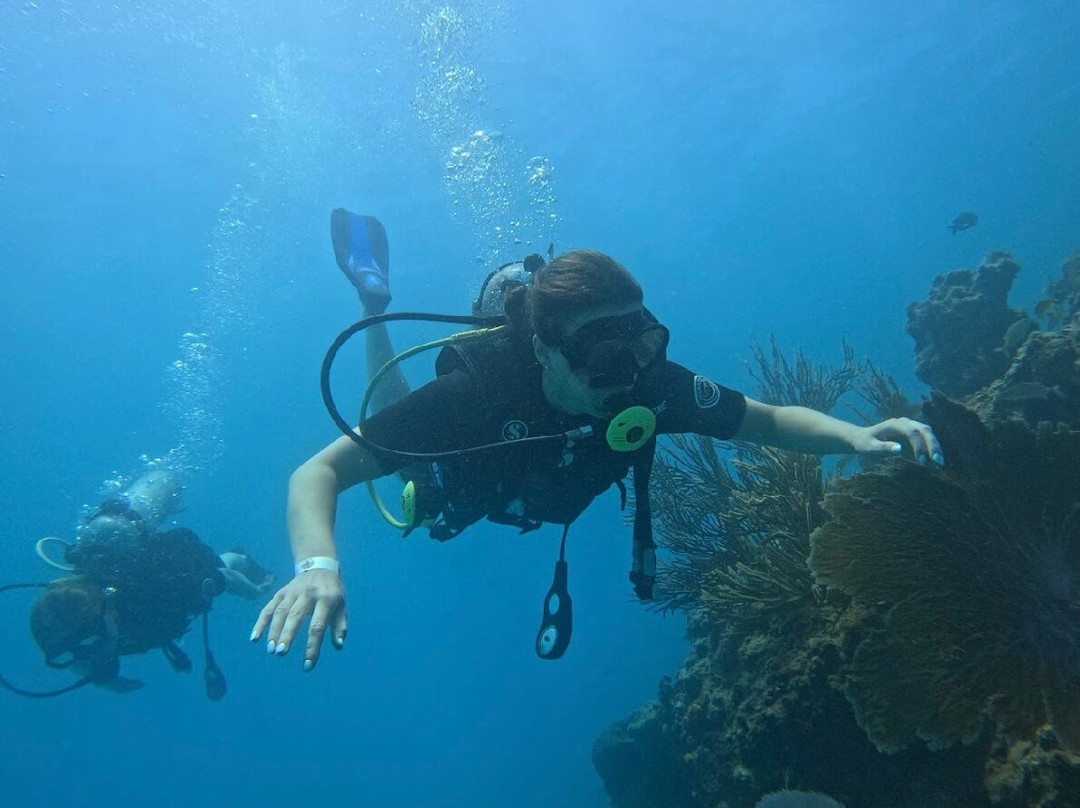 Sosua Diving Center-苏莎亚必去景点