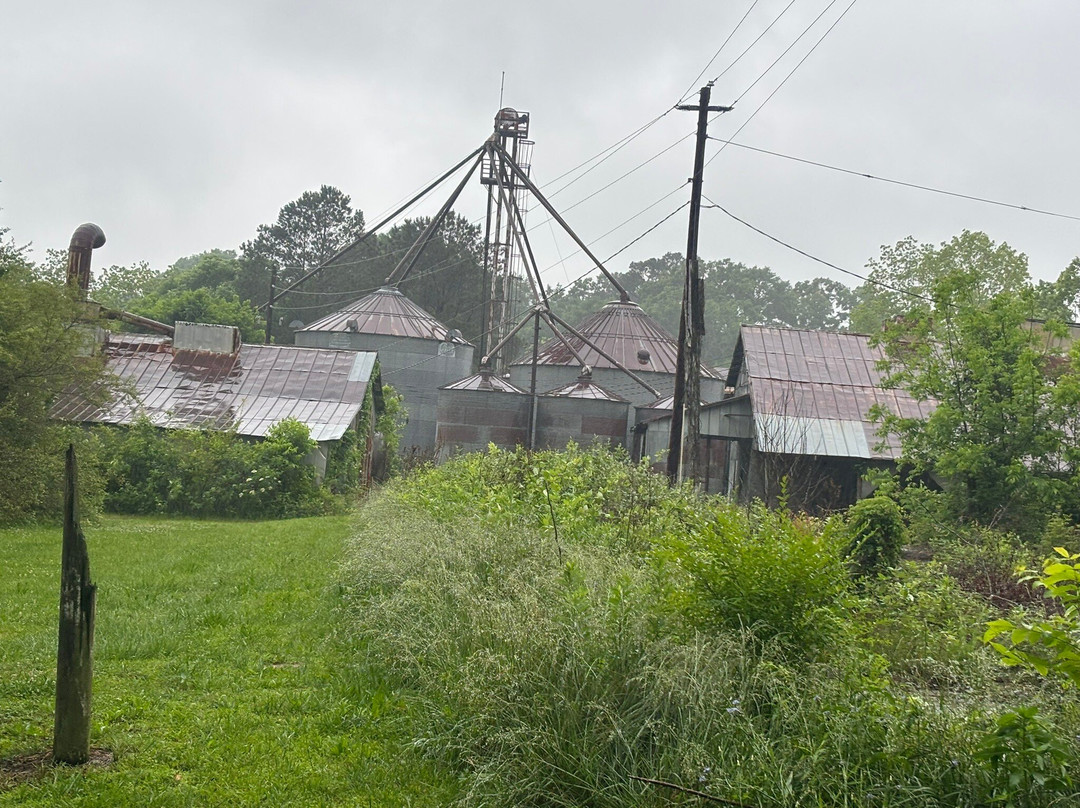 Georgia Tour Company-Senoia必去景点