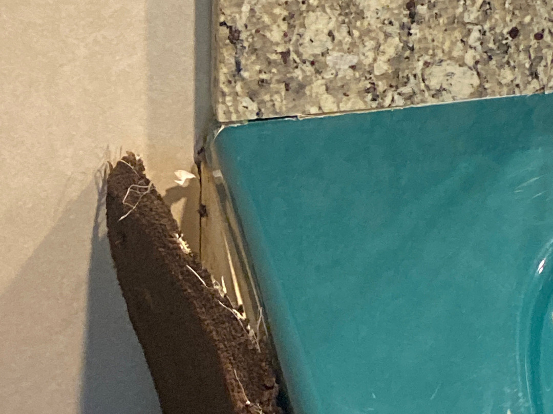 萨尔瓦托大酒店主图