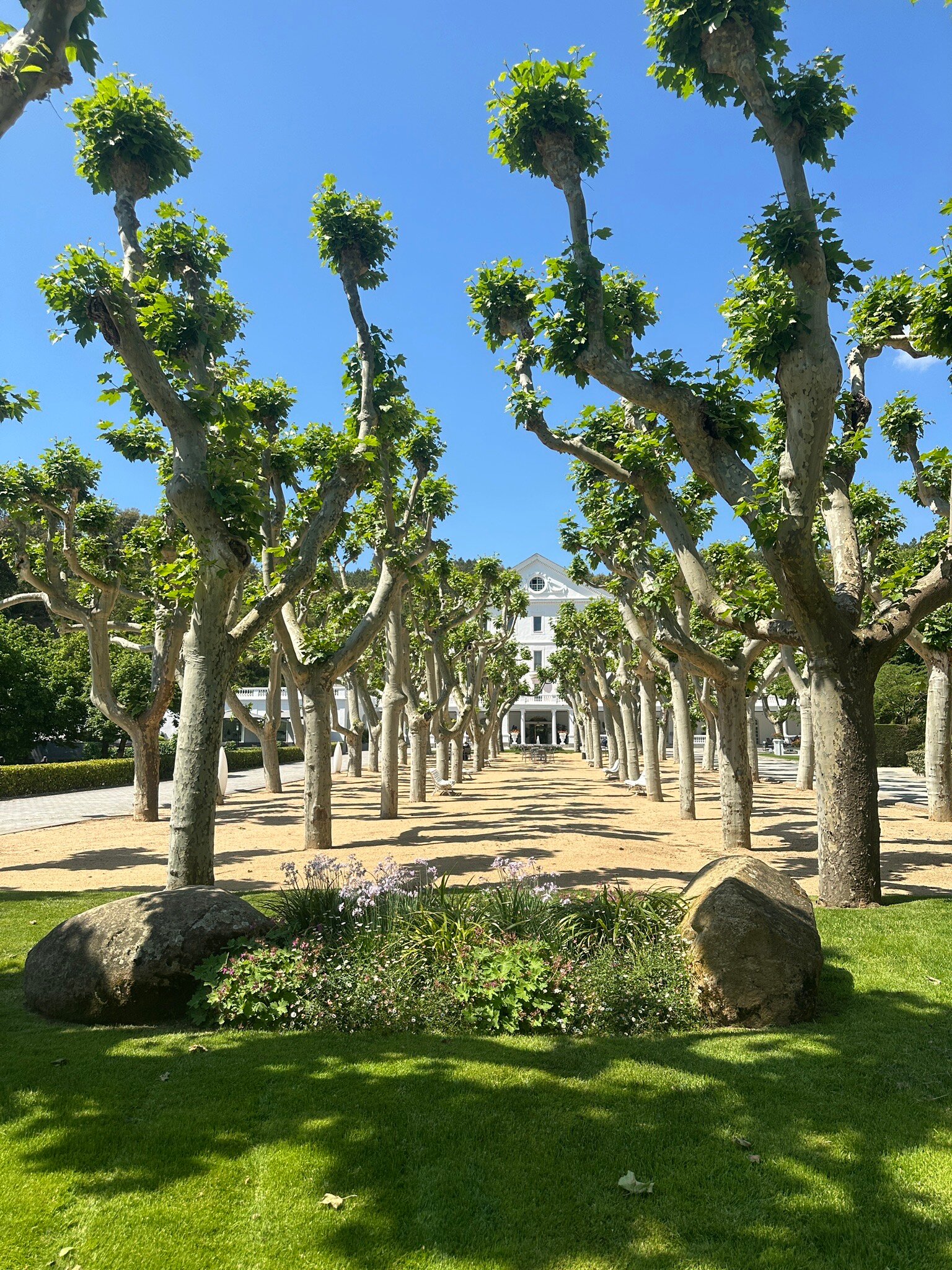 Hotel Balneari Termes Orion-官方