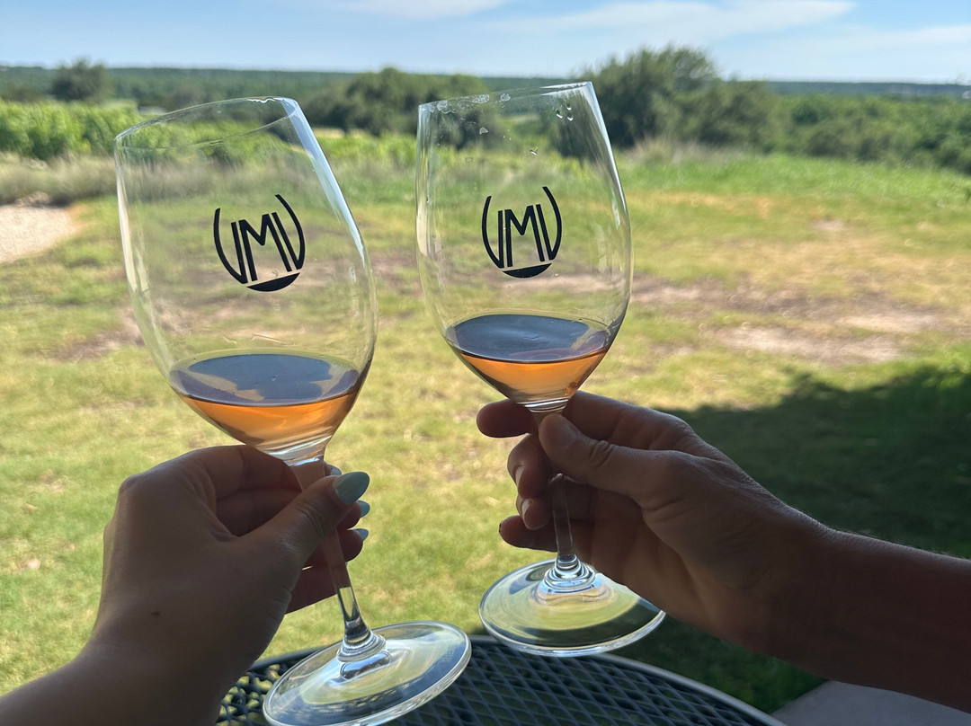 Valley Mills Vineyards-韦科必去景点