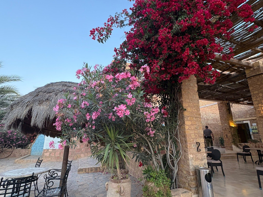 Hotel Dakyanus主图