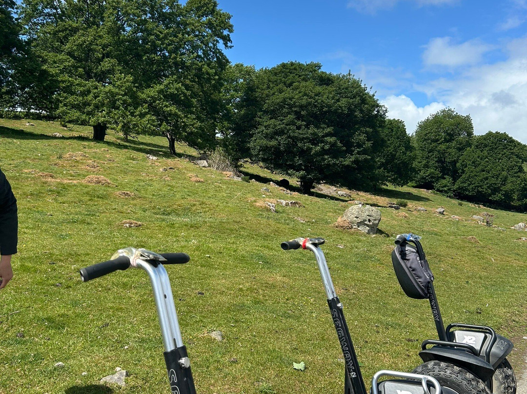 Lakeland Segway景点图片