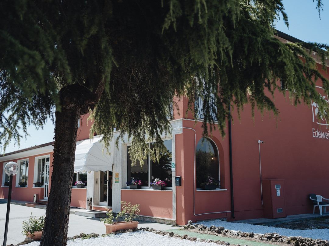 Edelweiss Mantova