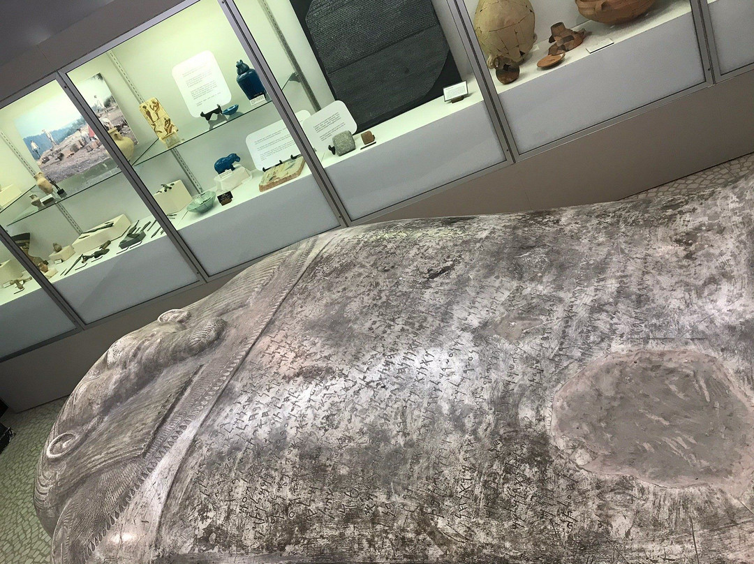 Cobb Museum of Archaeology景点图片