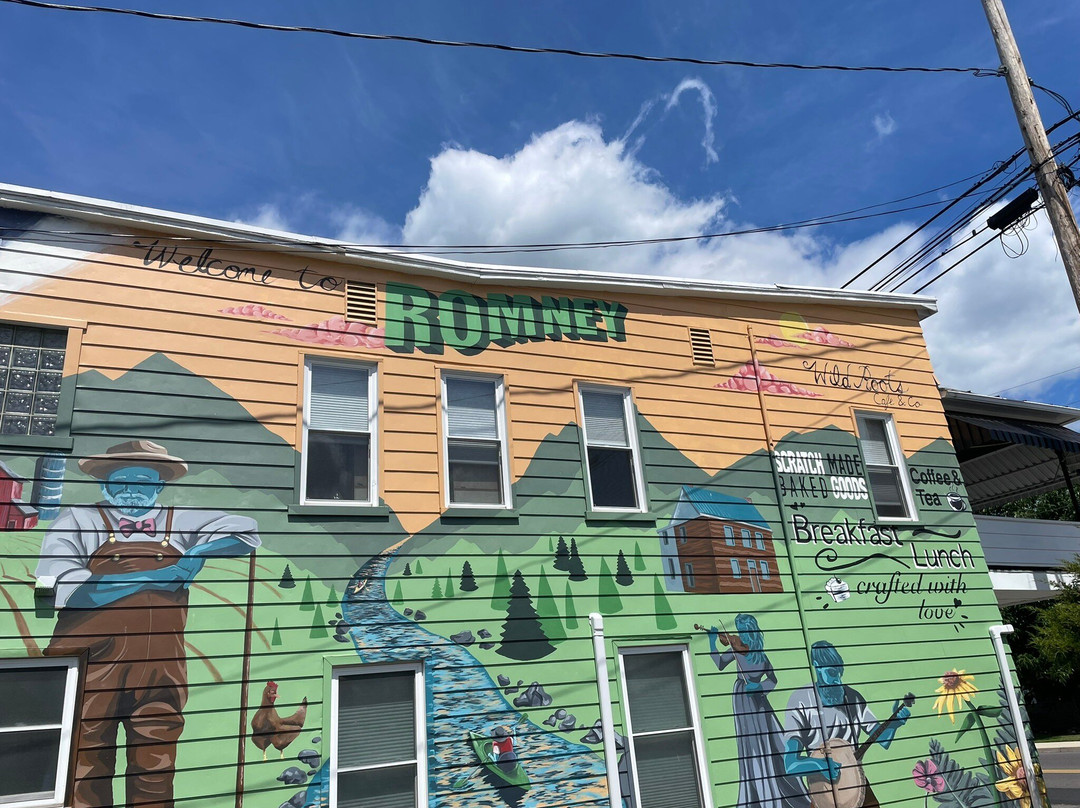 Wild Roots Café & Co