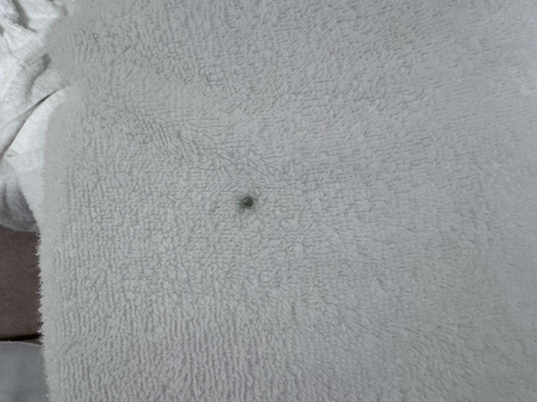 AmericInn by Wyndham Lincoln North主图