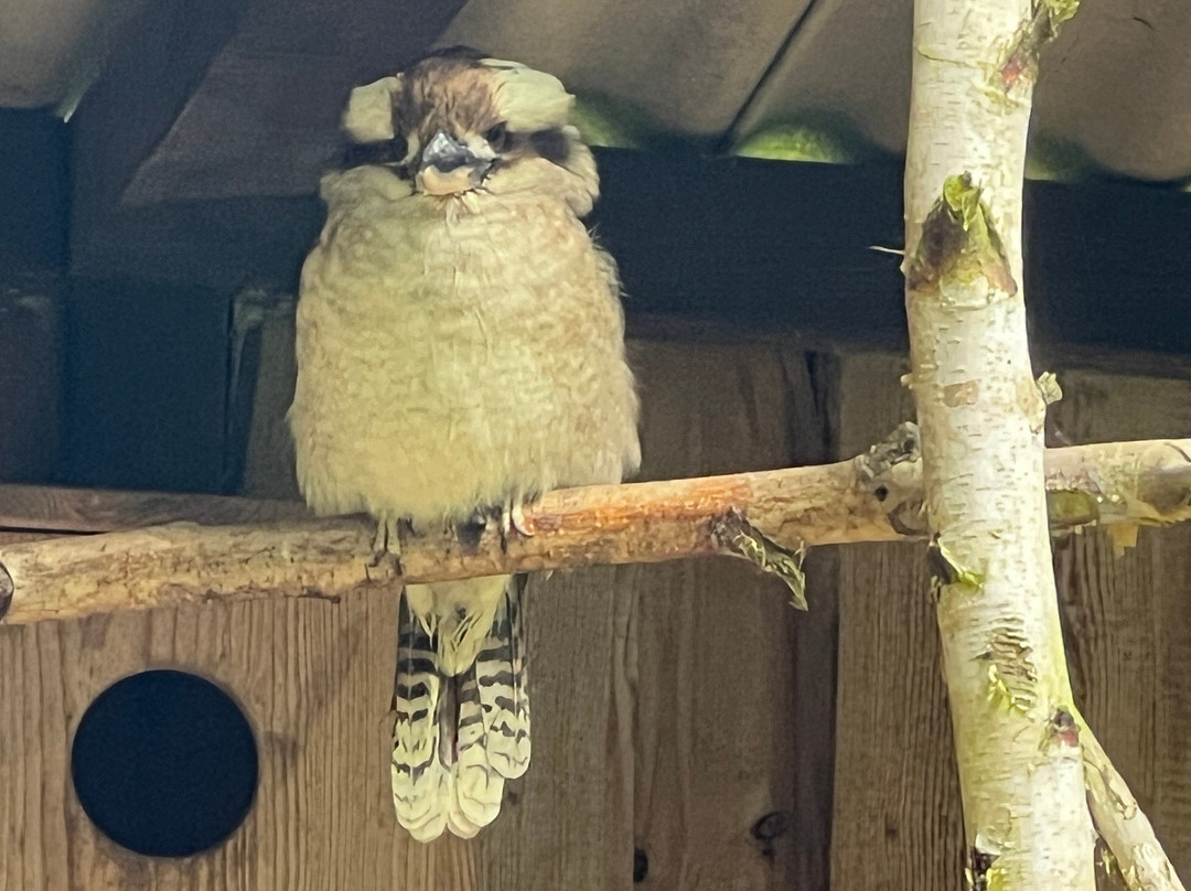 Tierpark Irgenöd景点图片