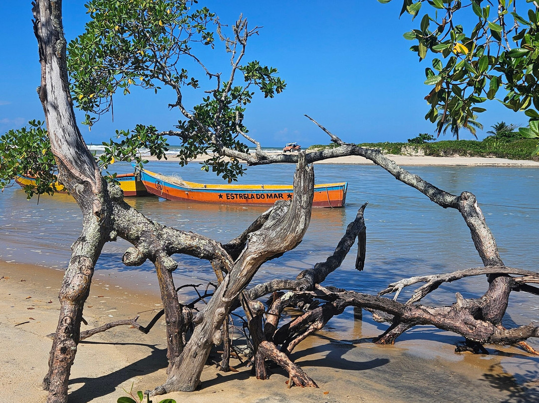 Sossego Beach景点图片