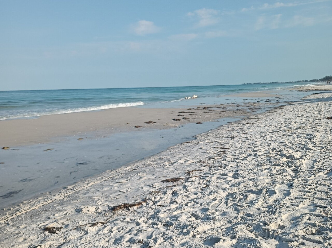 Bradenton Beach景点图片