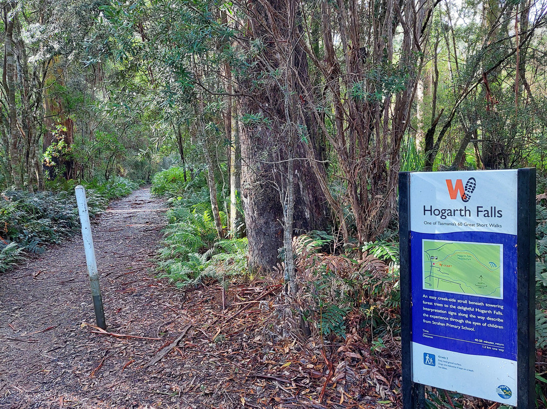 Hogarth Falls-斯特拉恩必去景点