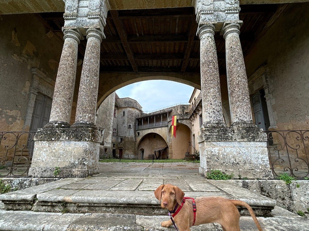 Chateau de Biron景点图片