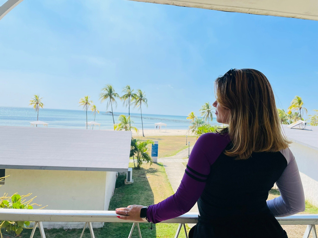 Hotel El Colony主图