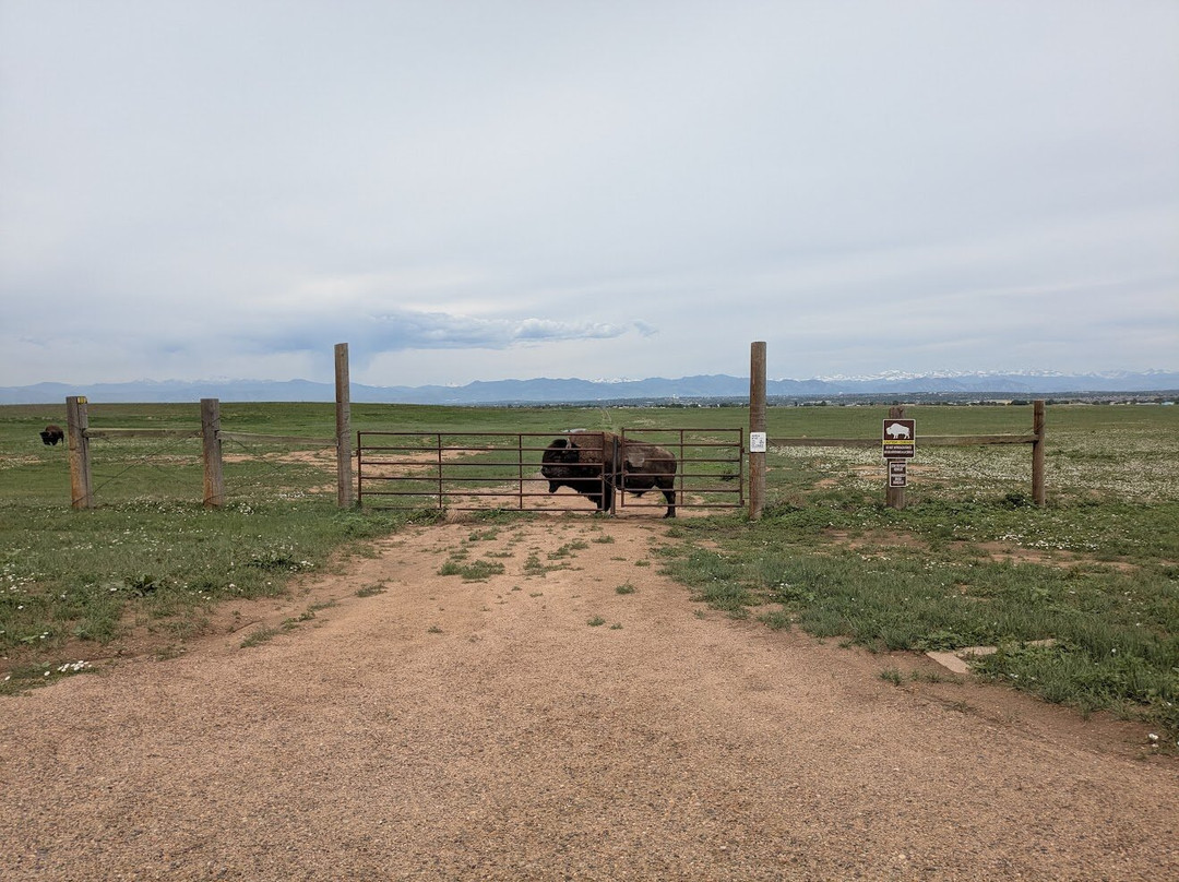 Rocky Mountain Arsenal National Wildlife Refuge景点图片
