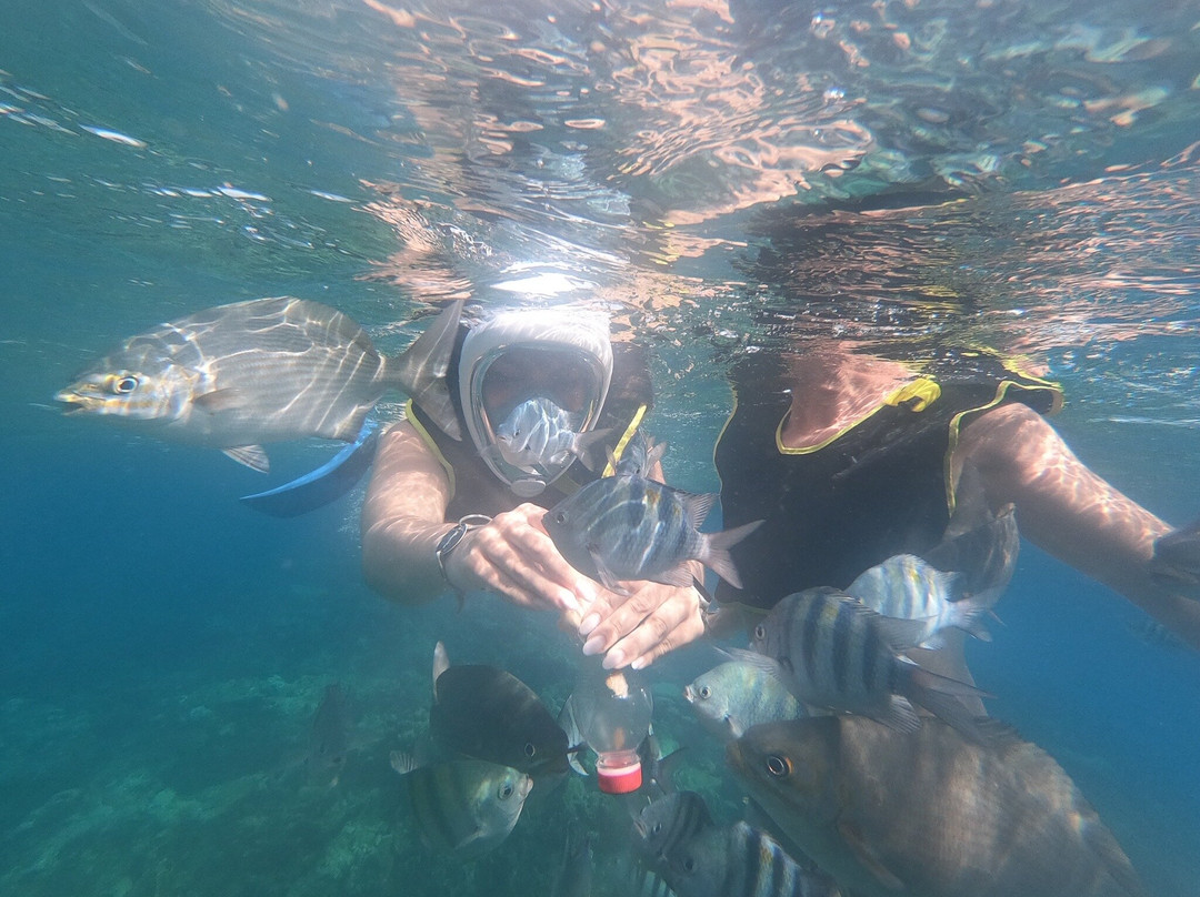 Snorkeling Tour Varadero景点图片