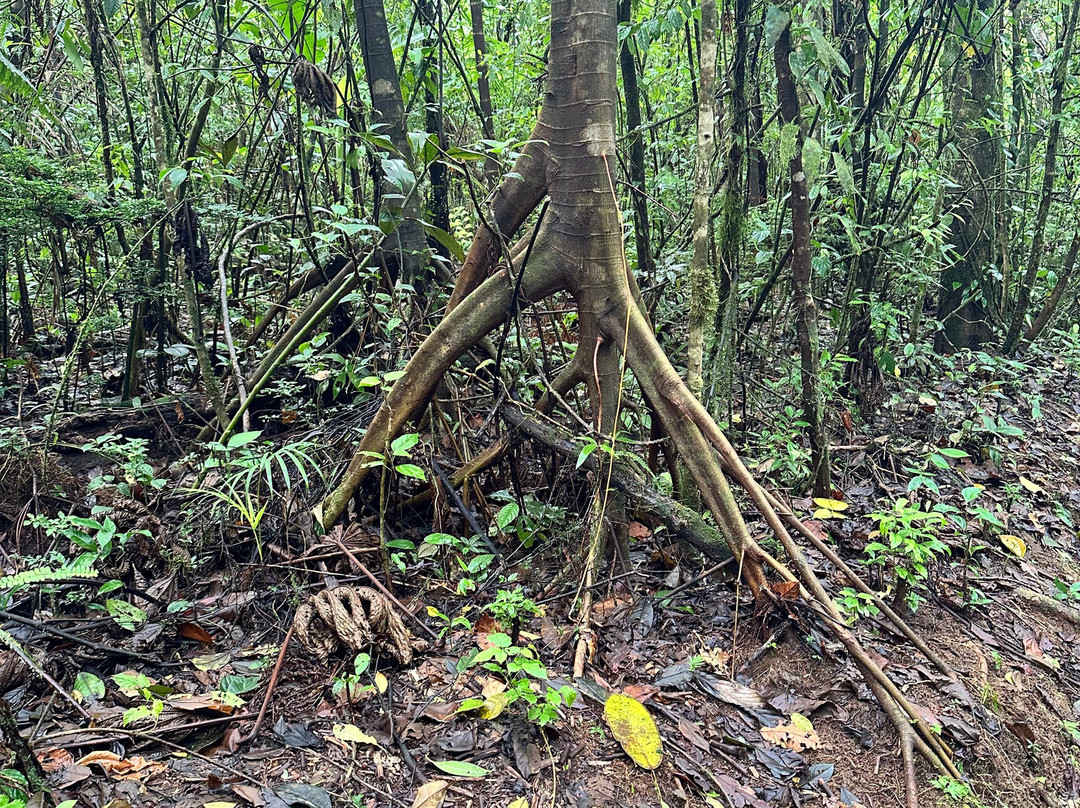 YouAreCostaRica-大滩必去景点