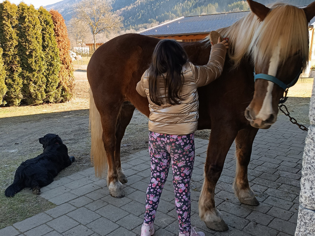 Agriturismo Maso Grisun主图