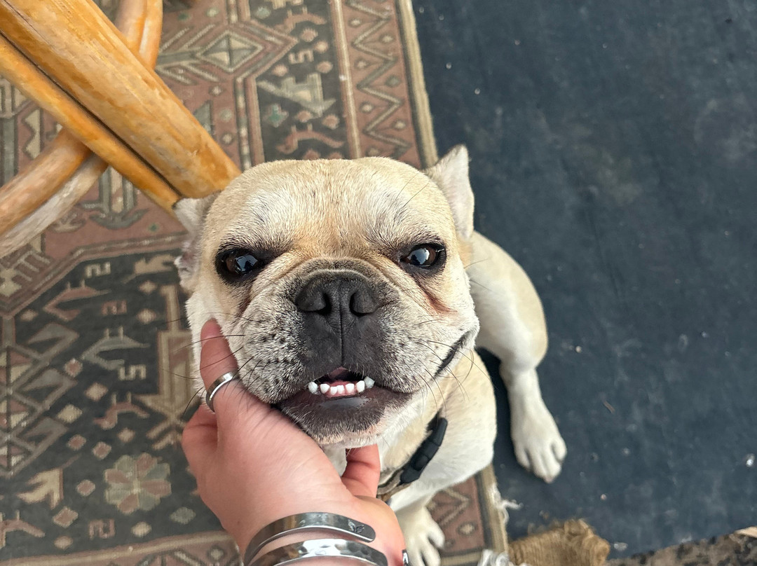 Agua Salada-La Ventana必去景点