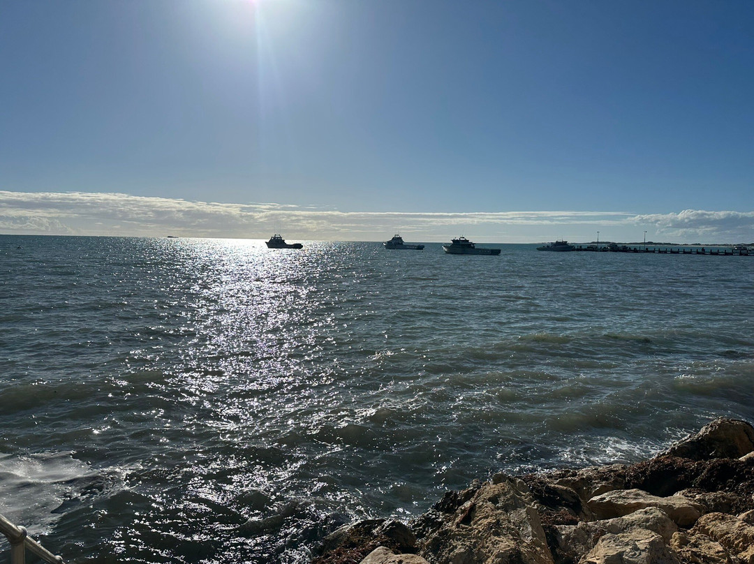 Dongara - Port Denison Visitors Centre-Dongara必去景点