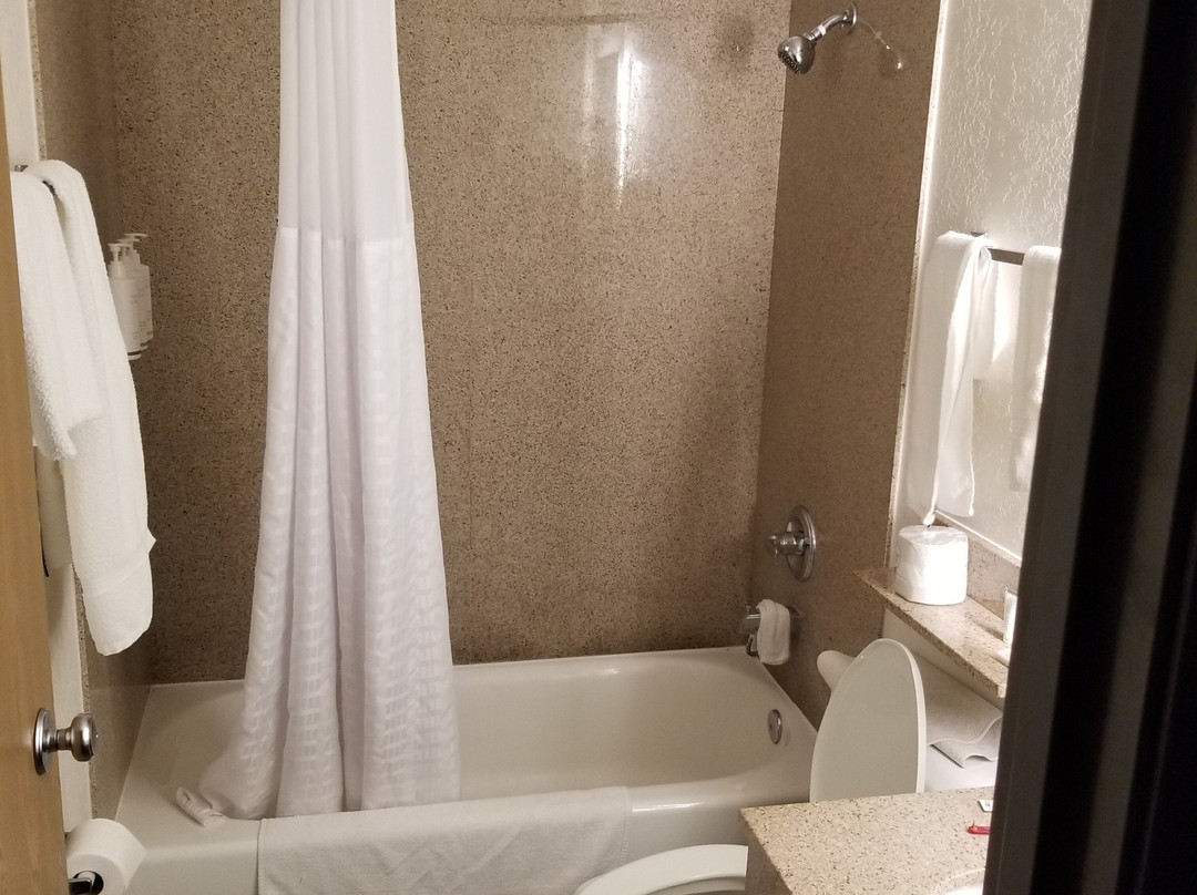 Super 8 by Wyndham Santa Rosa主图