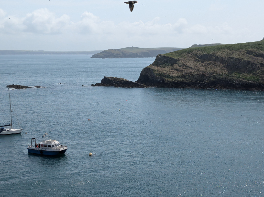 Pembrokeshire Islands Boat Trips景点图片