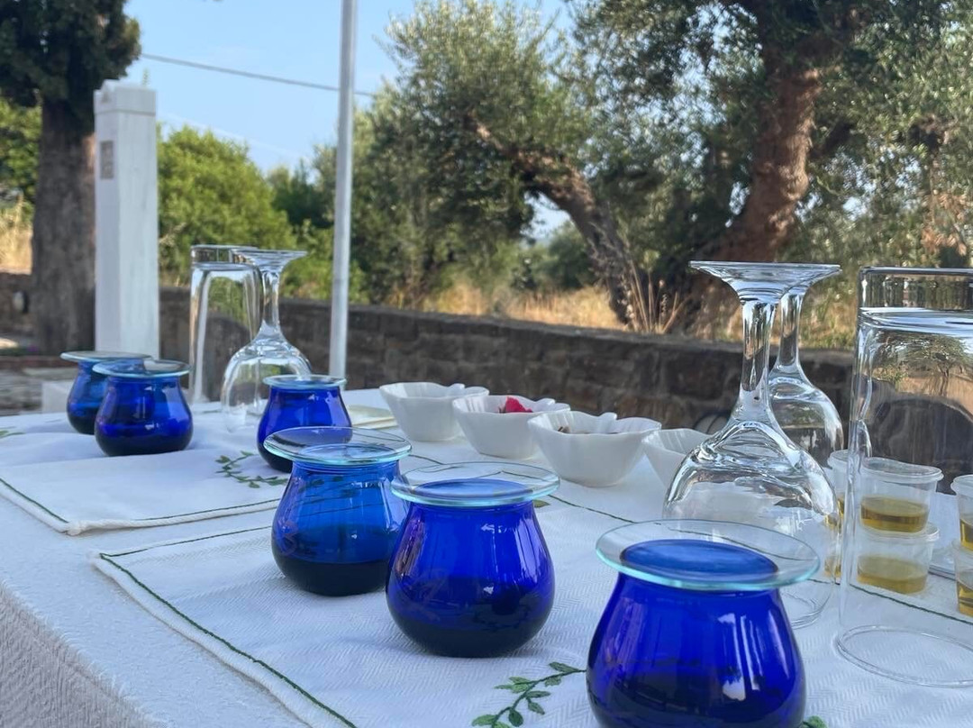 Liokarpos Olive Oil Tasting Experience-Finikounda必去景点
