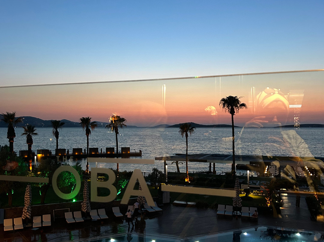 The Oba Hotel Torba主图