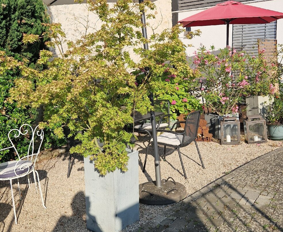 地球的灵魂酒店主图