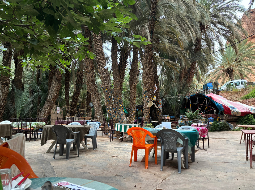 Cafe Restaurant Source Des Poissons Sacrés Cher Abdell