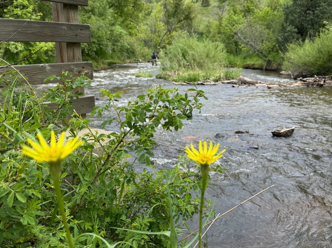 Lair O' the Bear Park-Morrison必去景点