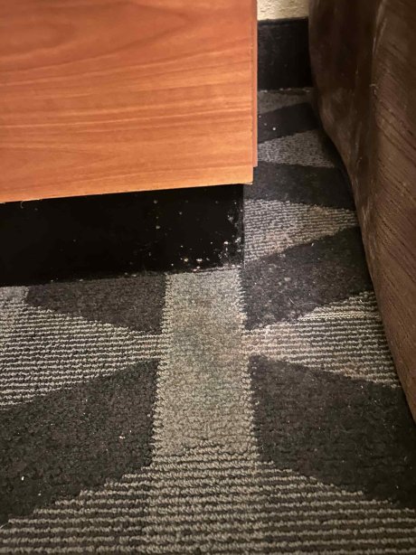 Hawthorn Extended Stay by Wyndham Cincinnati NE/Mason-客卧