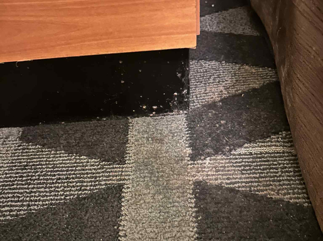 Hawthorn Suites by Wyndham Cincinnati Northeast / Mason主图