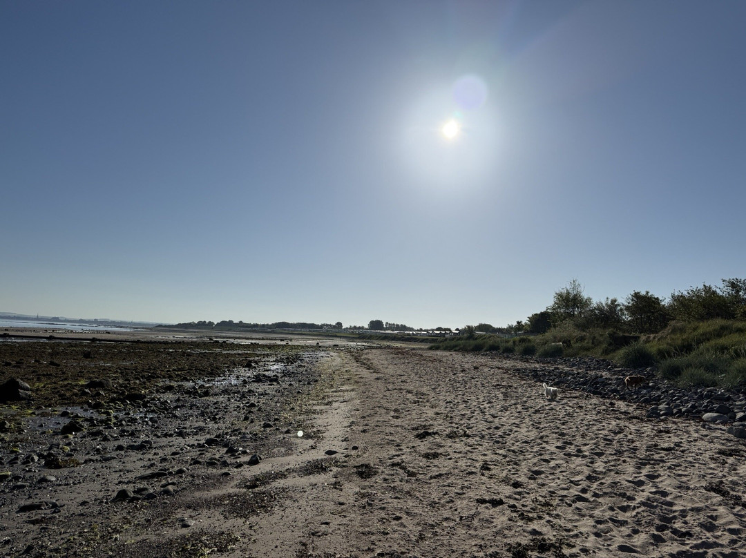 Ayr Beach-艾尔必去景点